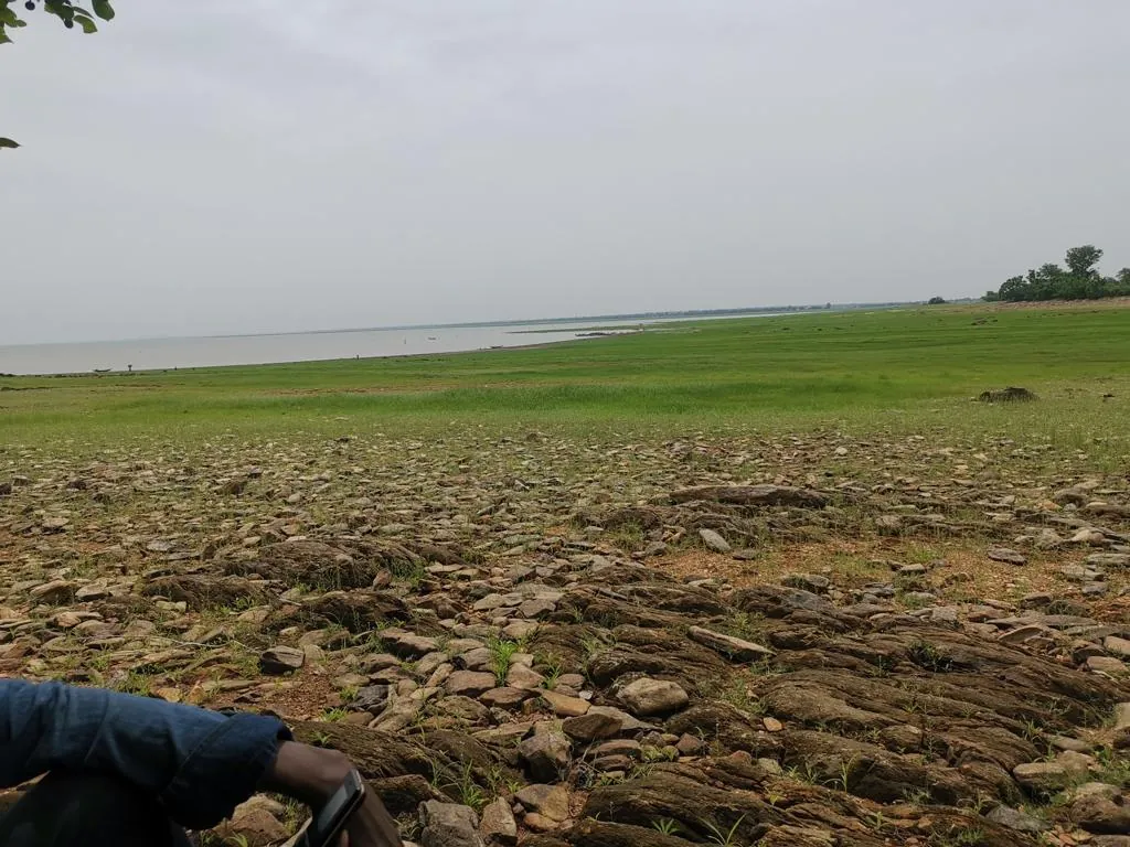 Prepared land beside a lake
