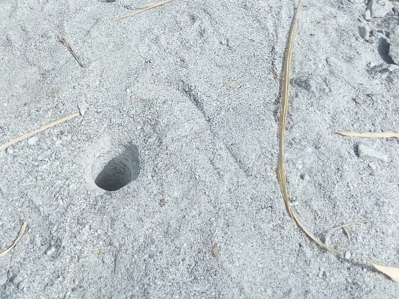 Drill holes in pale ground at an AMEA site
