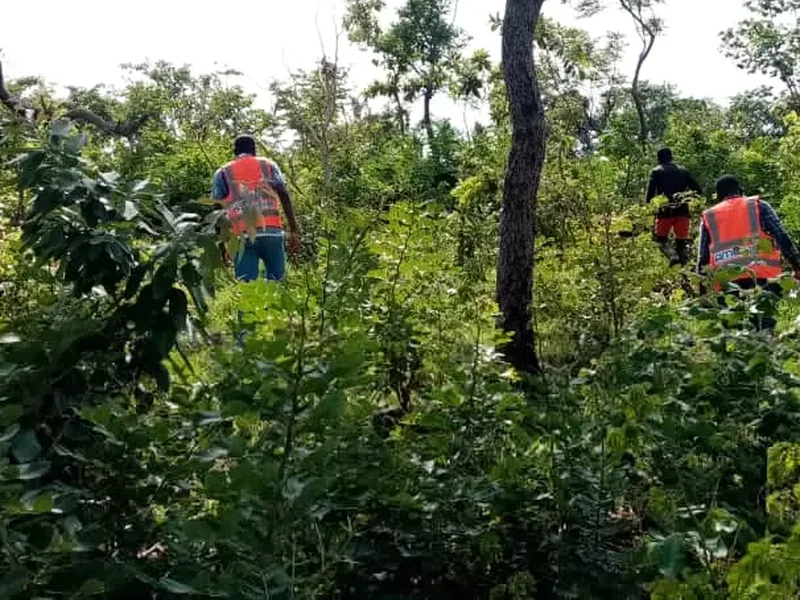 Field team walking through bush to a survey point