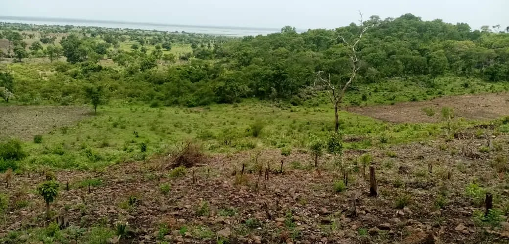 An AMEA licence area